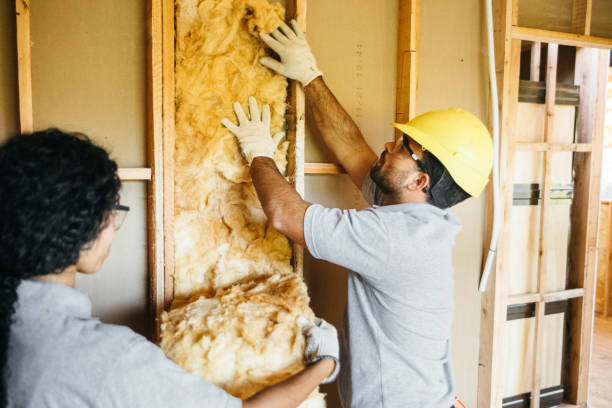 Types of Insulation We Offer in Weston, WI